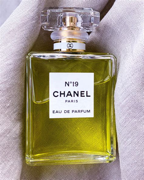 chanel 19 profumo|chanel perfume for women.